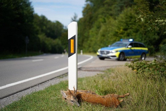 Christoph Oesterreich