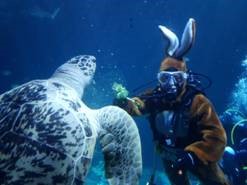 SEA LIFE Speyer SL1