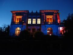 Neustadt an der Weinstraße: Lange Nacht in der Villa Böhm verbindet Kultur, Kunst und Musik