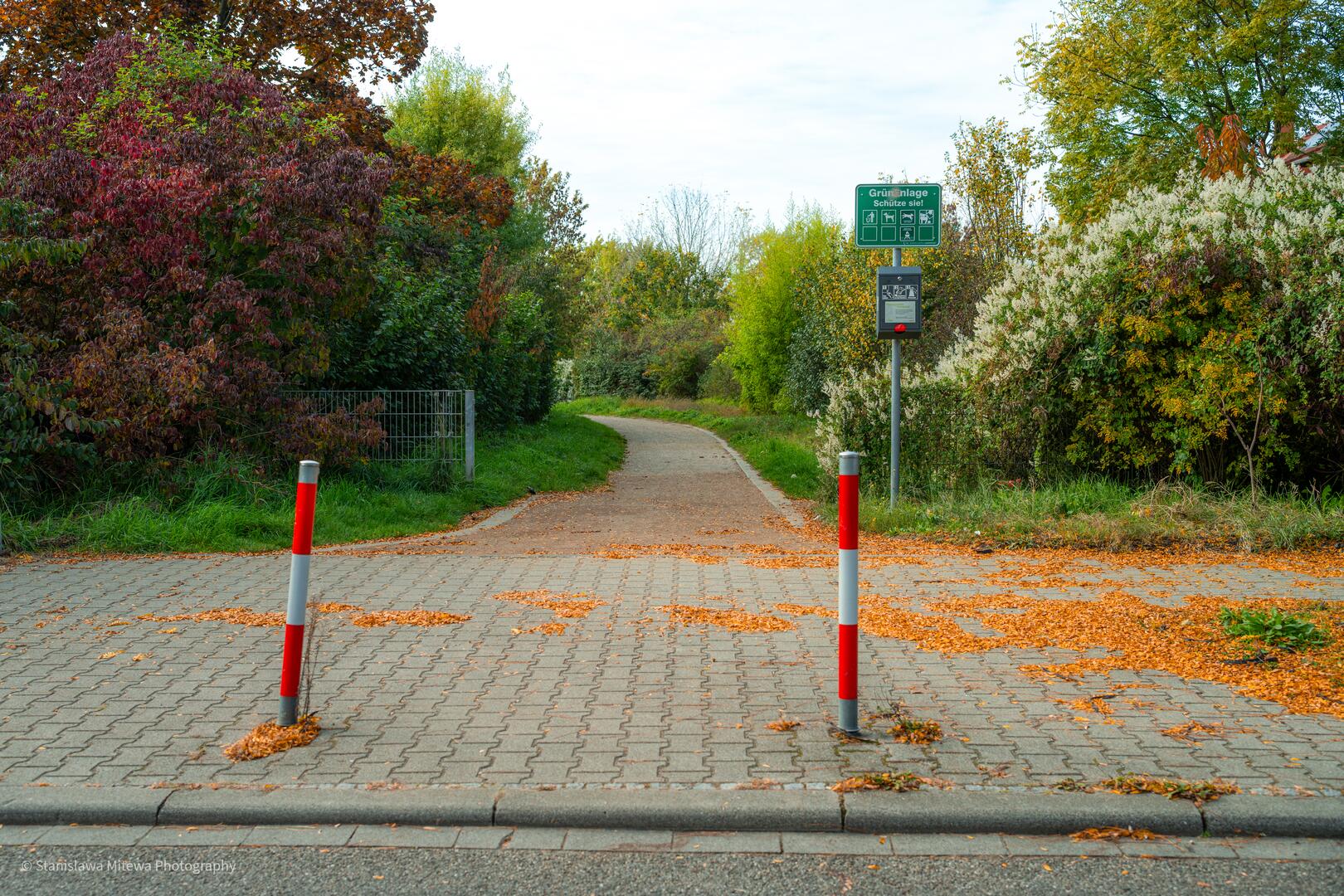 Mannheim-Rheinau: Freie Fahrt zum Rheinauer See – Stadt entfernt enge „Z-Querung“
