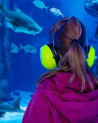 Speyer: SEA LIFE bietet „Stillen Tag“ – Reizarmer Besuch für Menschen im Autismus-Spektrum