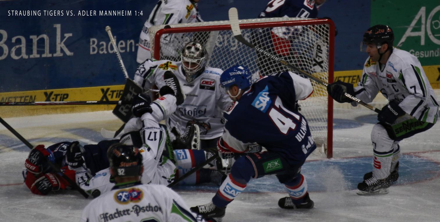 K1024 Auswaertsspiel Straubing 2015