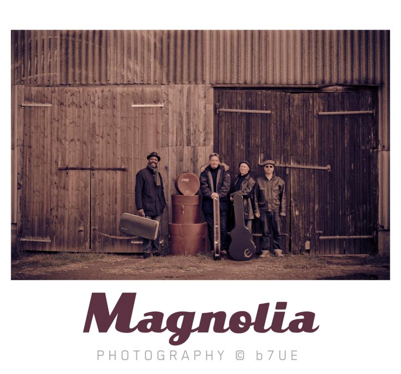 magnolia presse 04