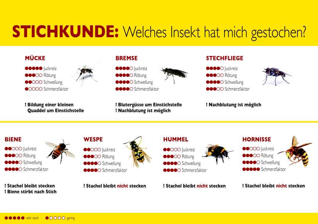 Initiative Insektengift Illustration Stichkunde