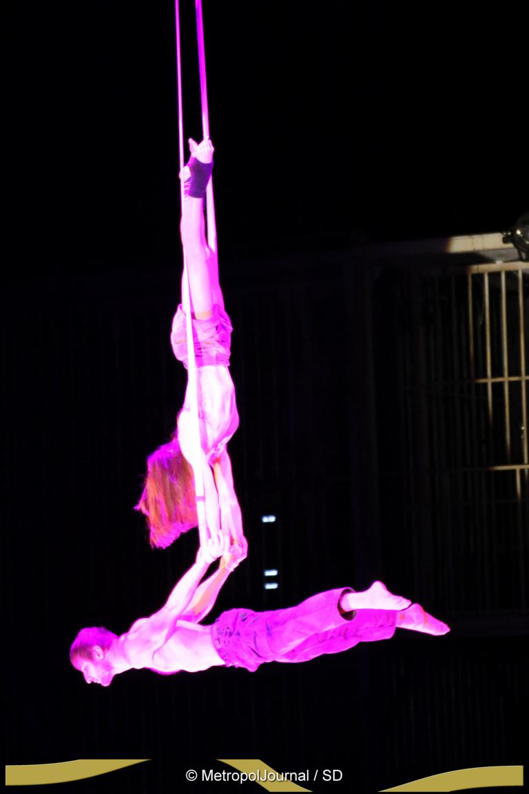 mt_gallery: