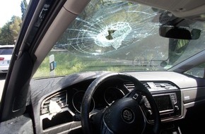 pol-pdlu polizeidirektion ludwigshafen pol pdlu schifferstadt fussgaenger wirft glasflasche auf auto autofahr