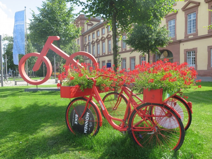 FlowerVelo