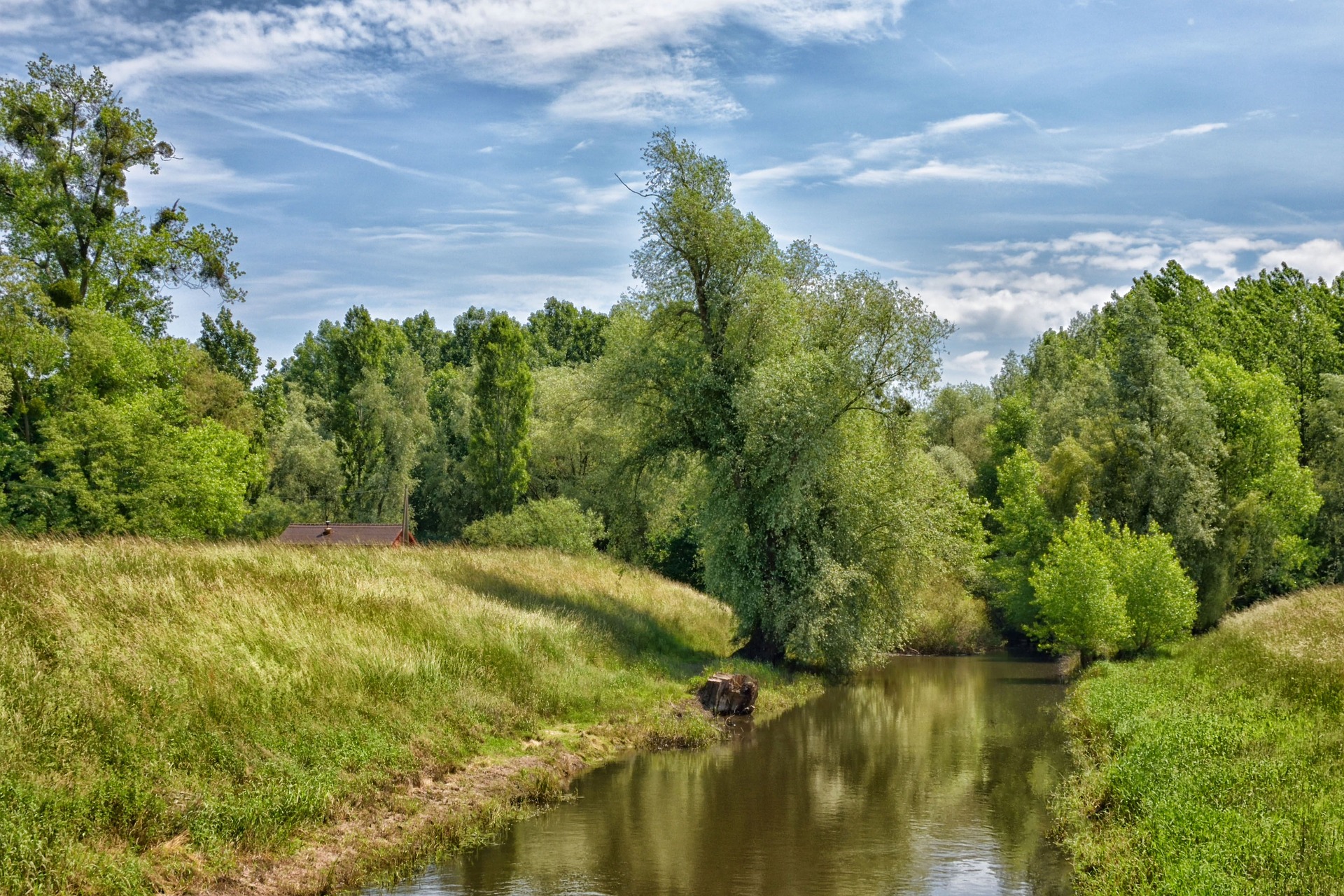 pixabay neuburg am rhein 3630657 1920