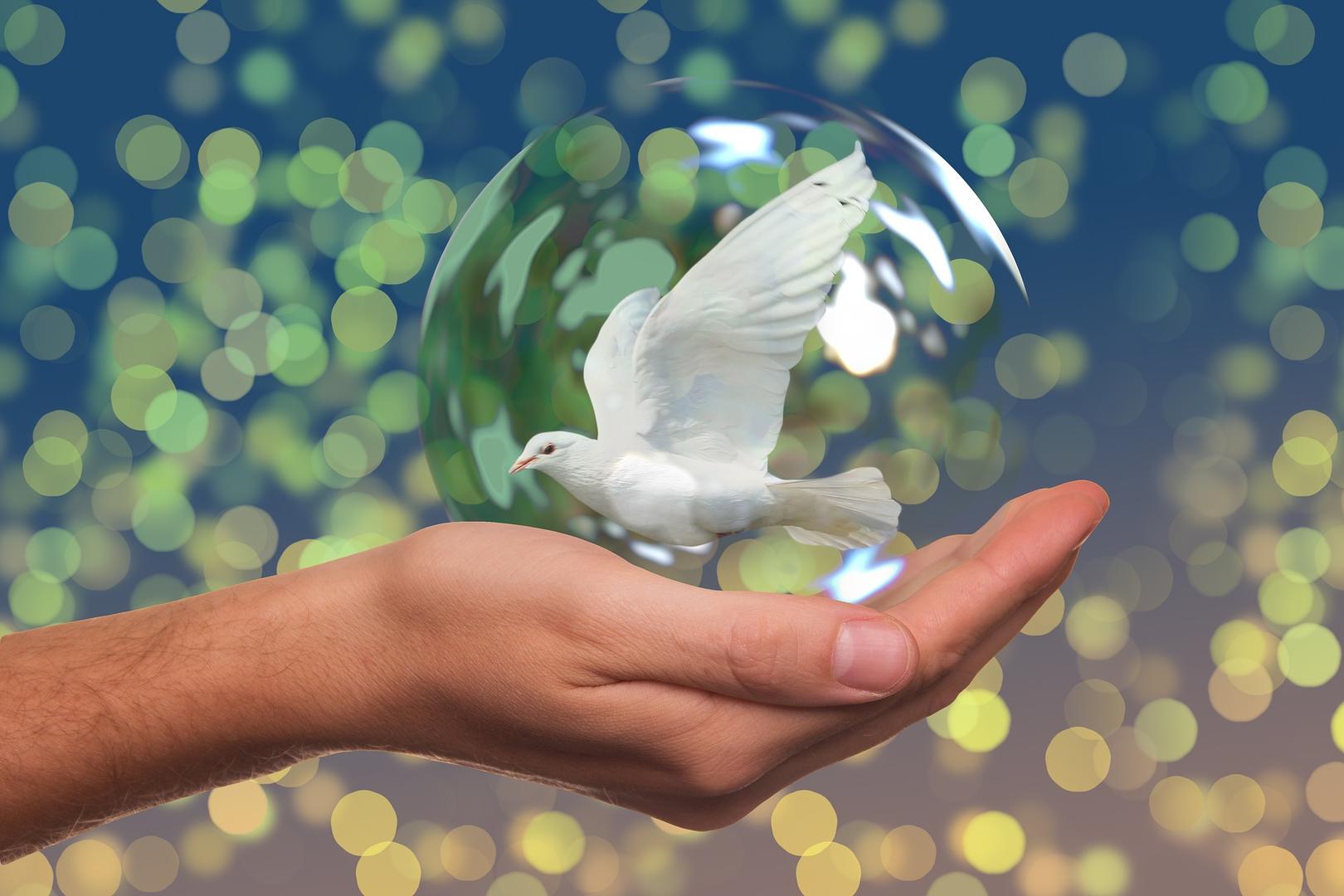 peace dove 2489589 1920