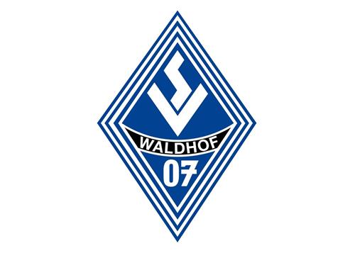 SV Waldhof Mannheim Copy