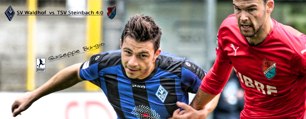 Waldhof Steinbach Header 1